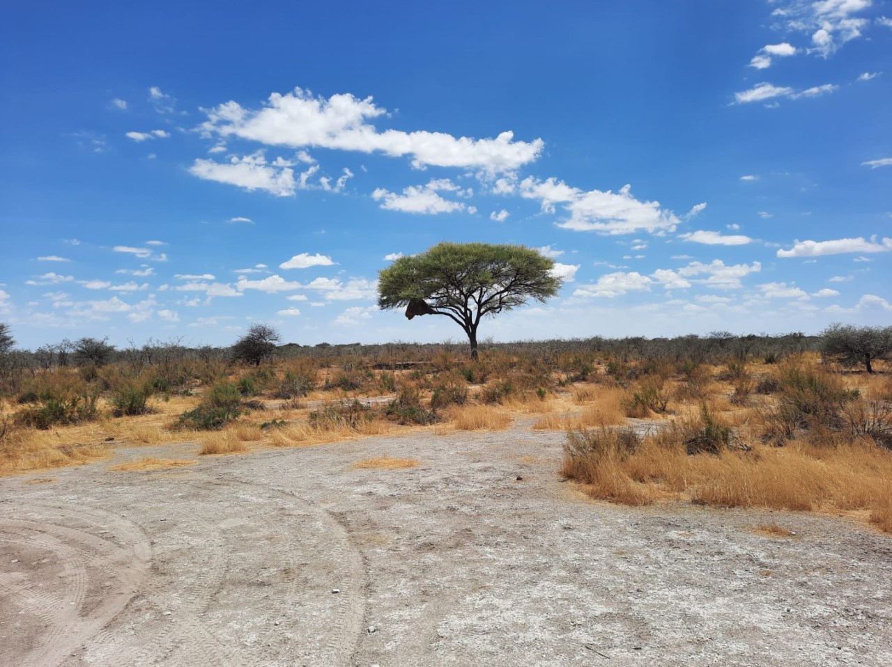 namibia_20221120-151542_2.jpg