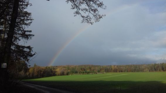 20221124_103415regenboge.jpg