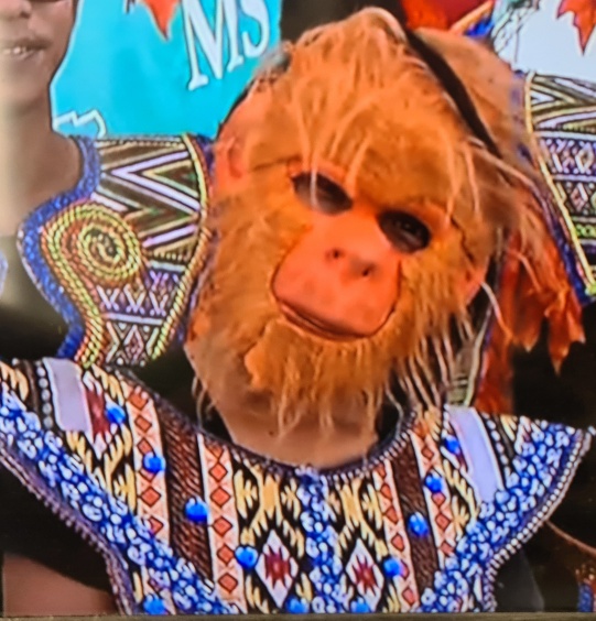 miss_ape_indonesia.jpg