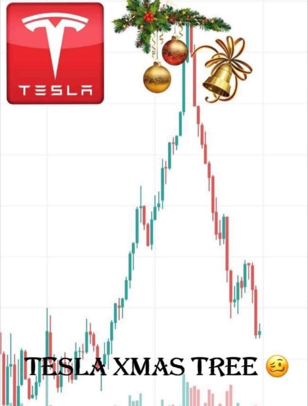 tesla_xmas_tree_12-2022.jpg