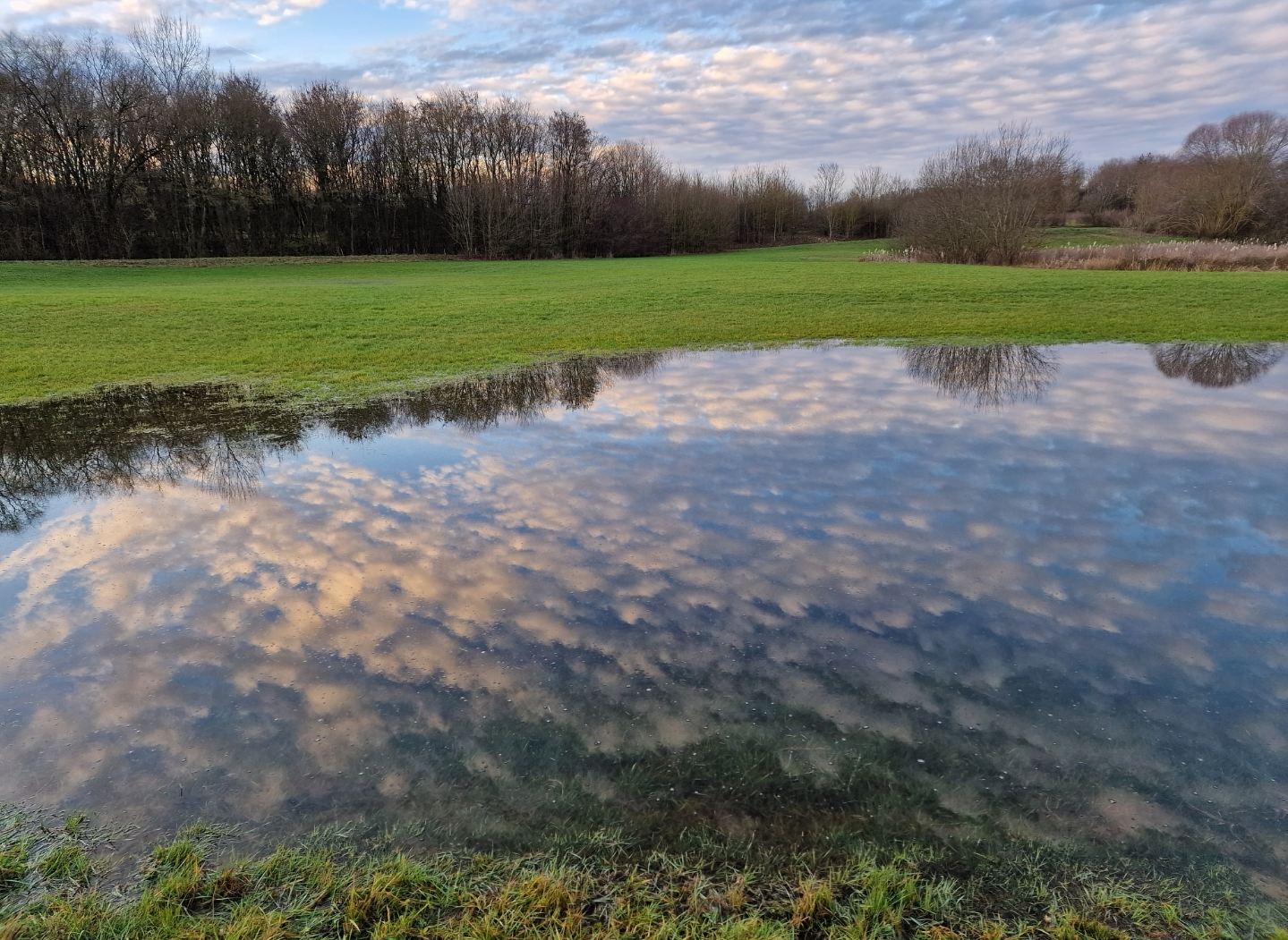 20221225_165628_wiesensee_am_heidsee.jpg