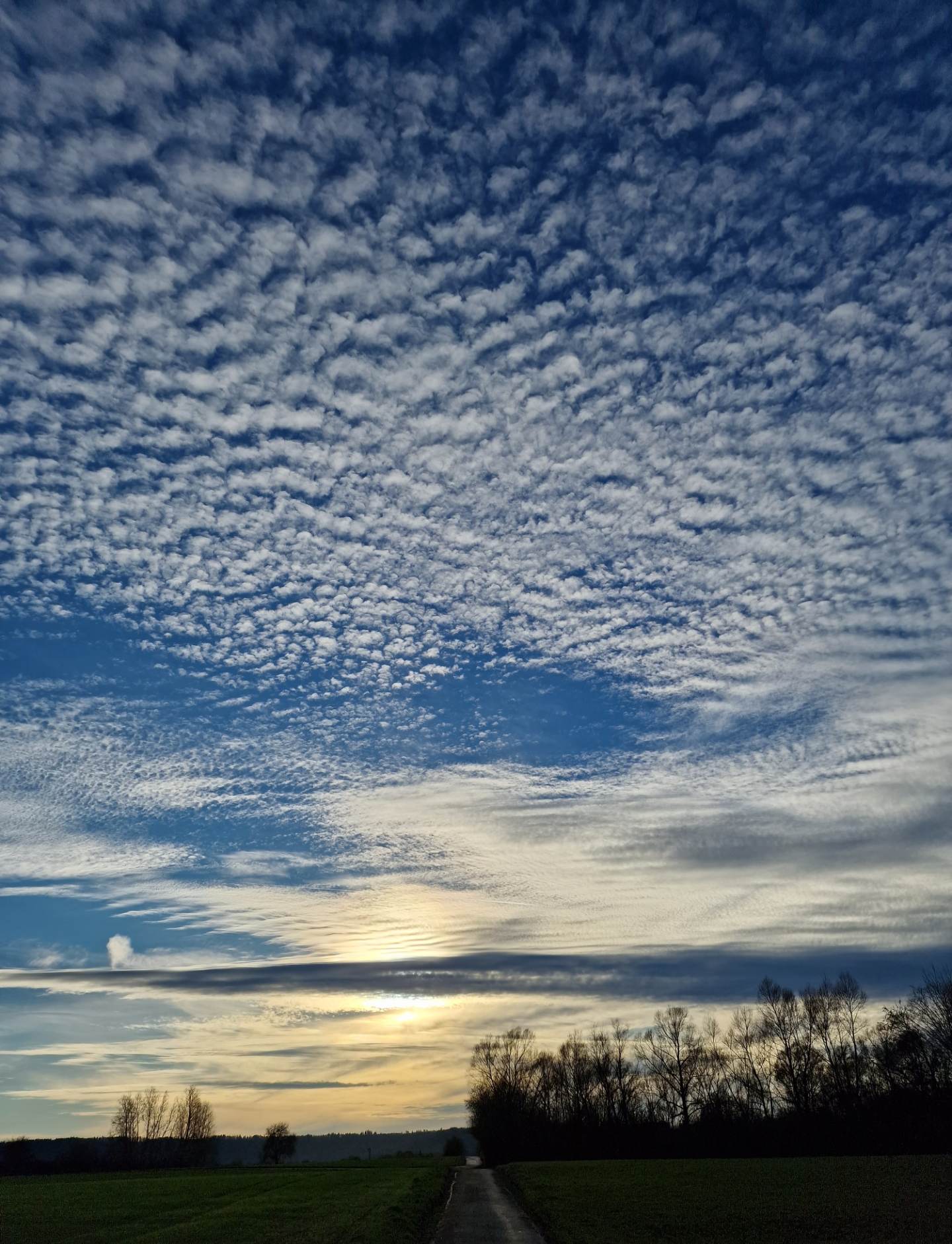 20221225_171202_weg_zum_heidsee.jpg