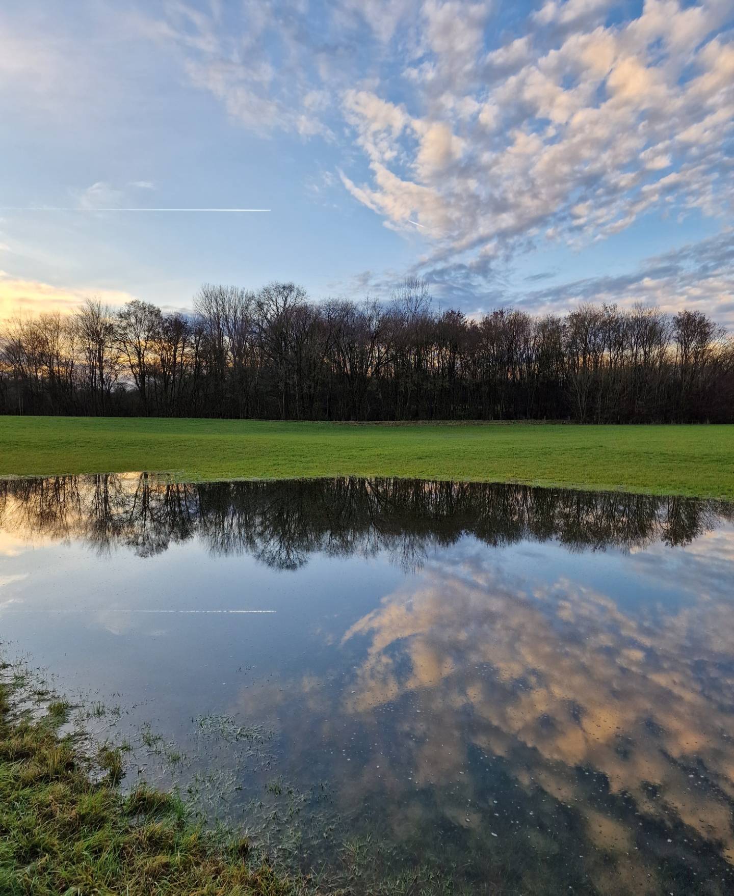 20221225_170629_weg_zum_heidsee.jpg