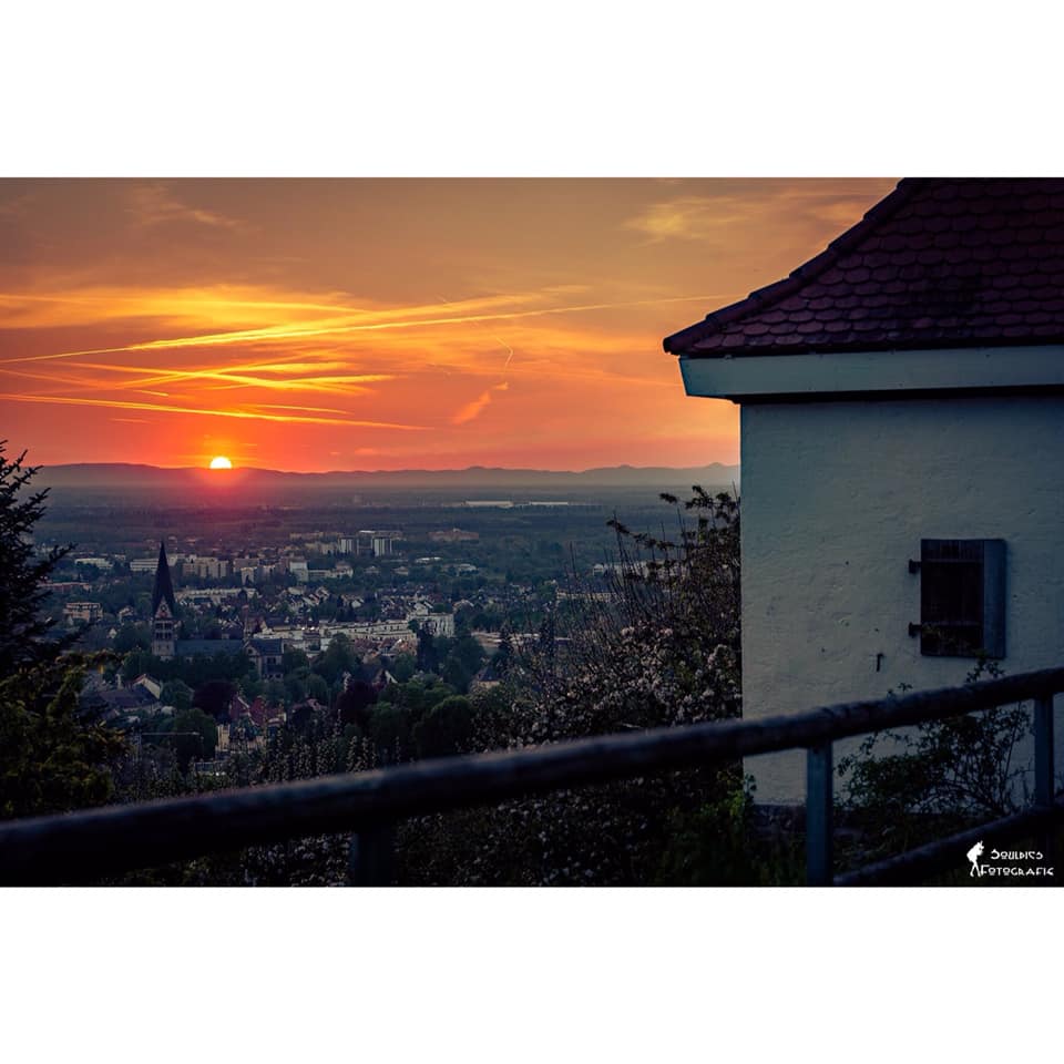ettlingen_weisses_haeusle_gr.jpg