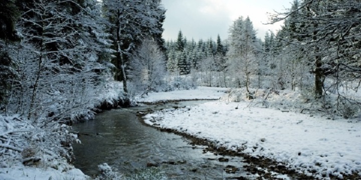 winterlandschaft.jpg