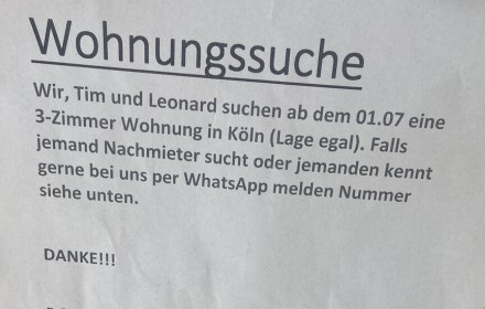 suche.jpg