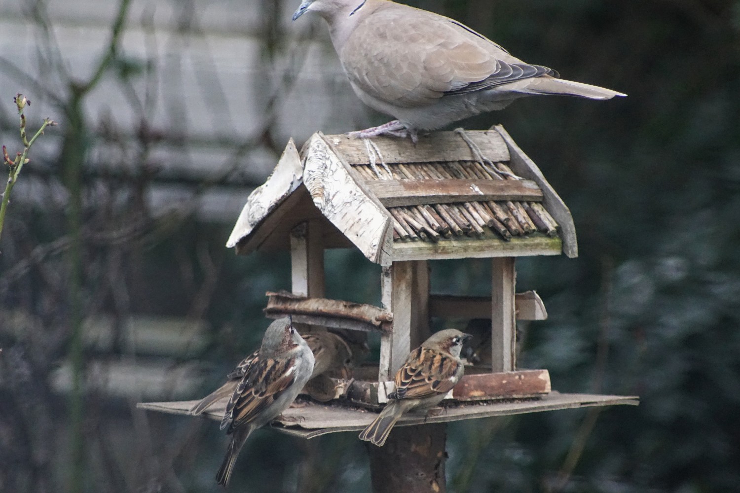 futterhaus3_feb_2023.jpg