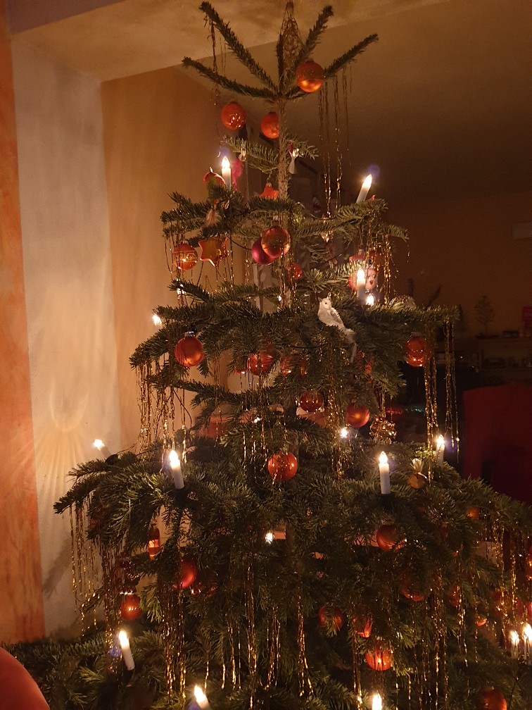 weihnachtsbaum_feb_2023.jpg