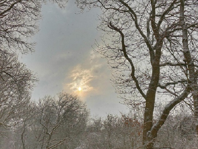 sonne_kommt_durch.jpg