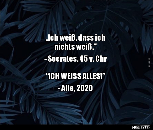 e377e2dd-64c6-4268-af43-c16f9f5d6d07.jpeg