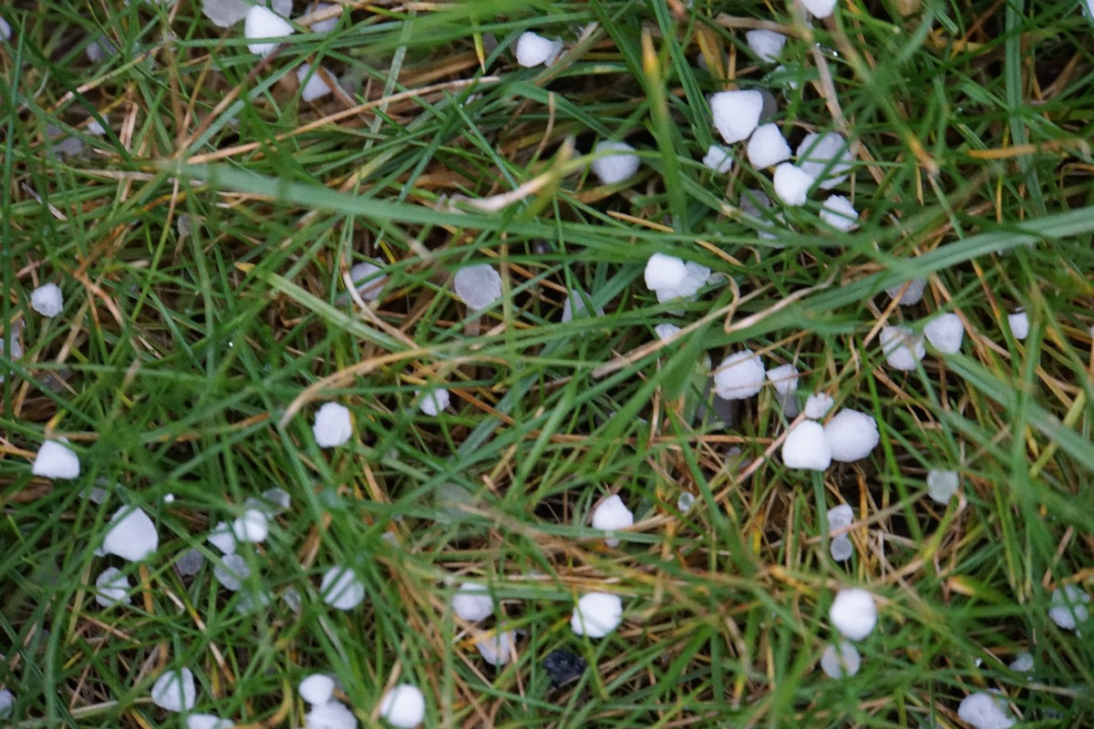 graupel_feb_2023.jpg