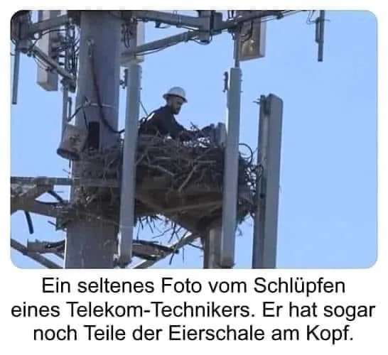 telekom.jpg