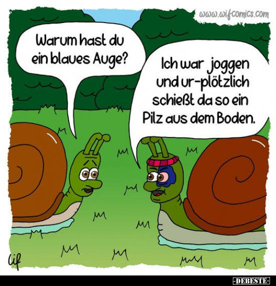 schnecke.jpg