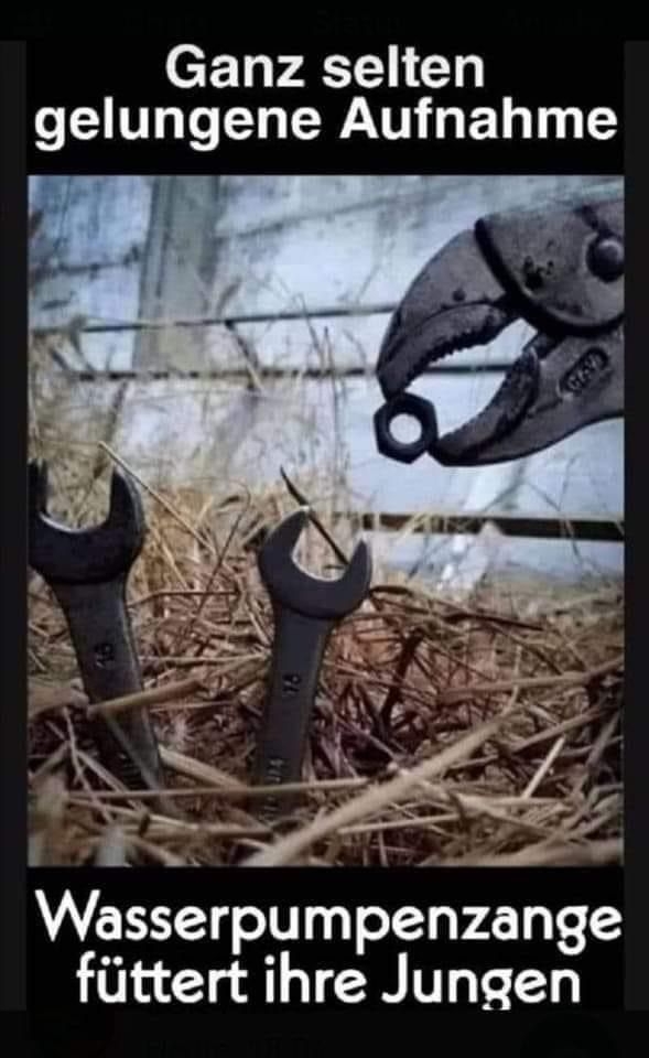 attachment-31584078.jpeg