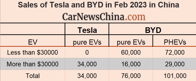 tesla-byd-23-02.jpg