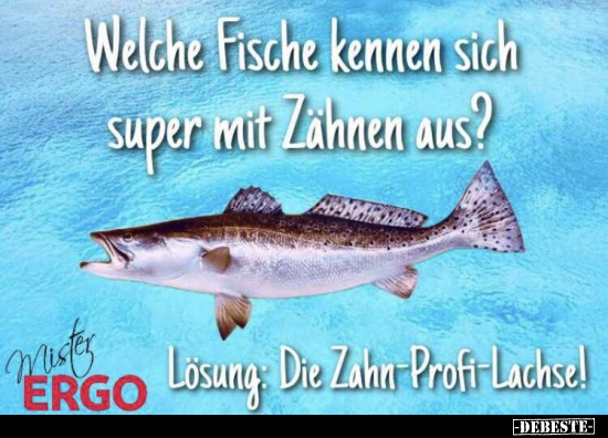 zahn-profi-lachse.jpg