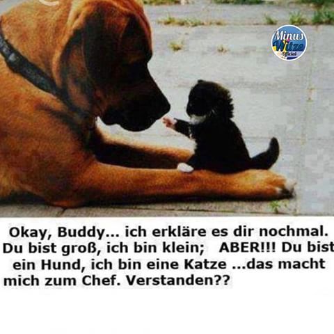 so_sieht__s_aus.jpg