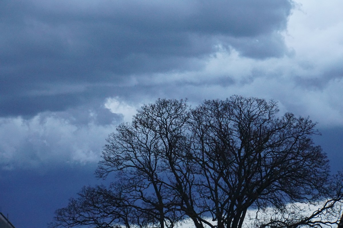 wolken_baum_m__rz_2023.jpg