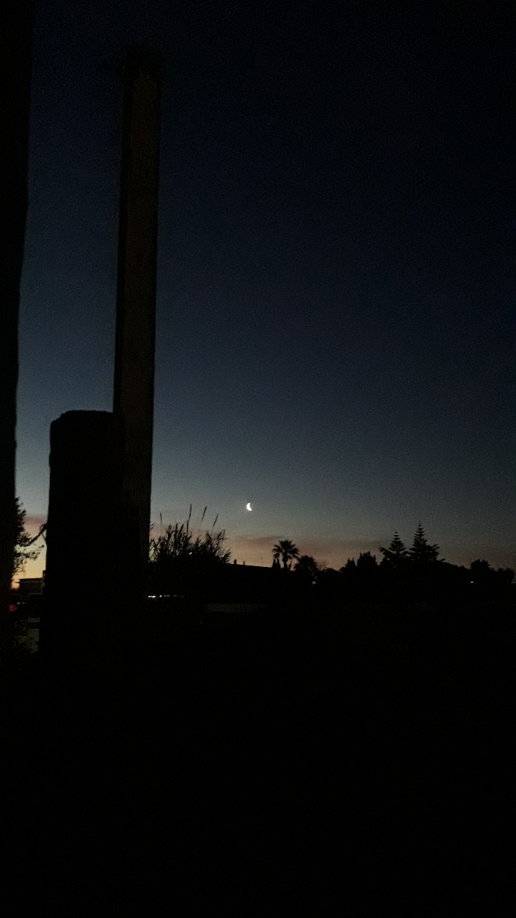 img-20230318-wa0000.jpeg