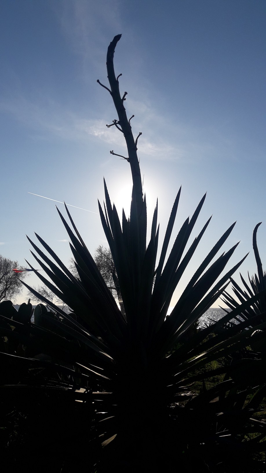 img-20230317-wa0013.jpeg