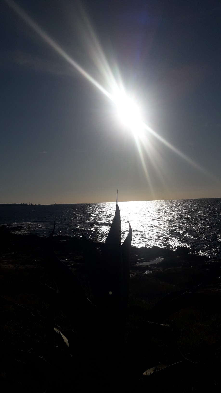 img-20230317-wa0021.jpeg