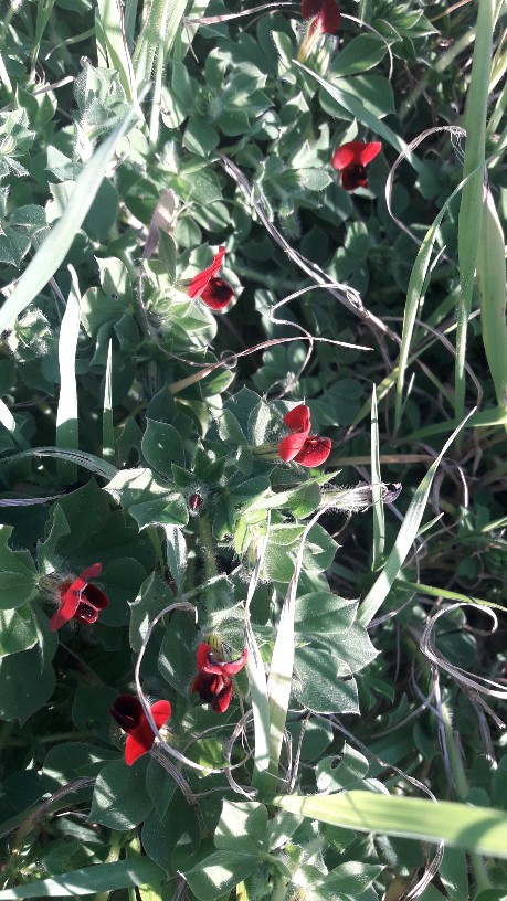 img-20230317-wa0007.jpeg