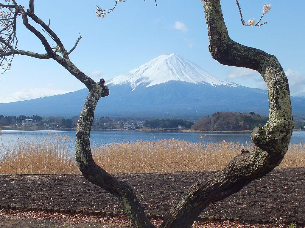 jap_fujisan01.jpg