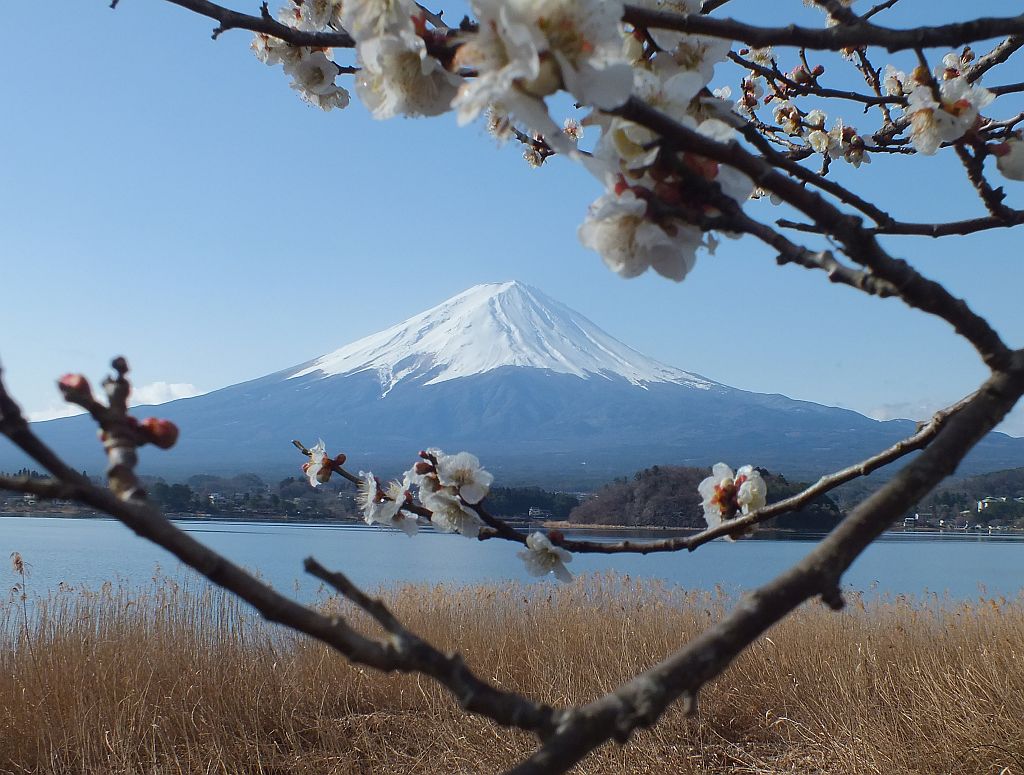 jap_fujisan04.jpg