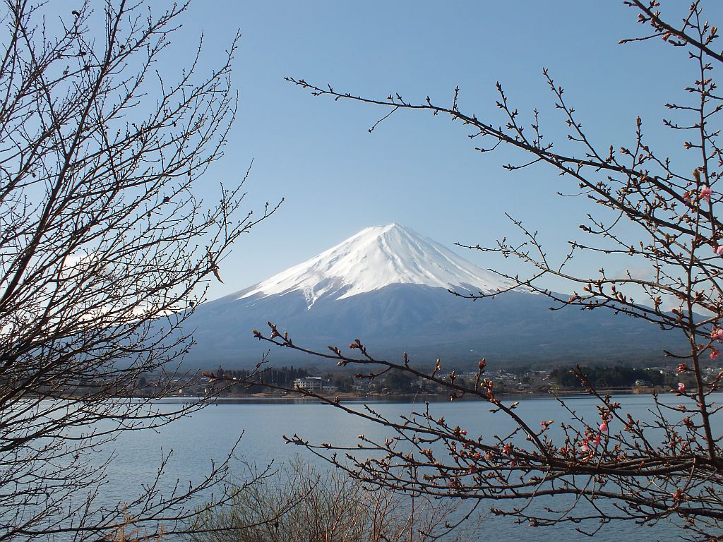 jap_fujisan03.jpg