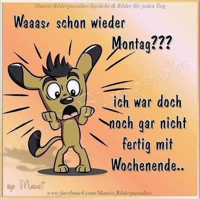 montag1.jpg