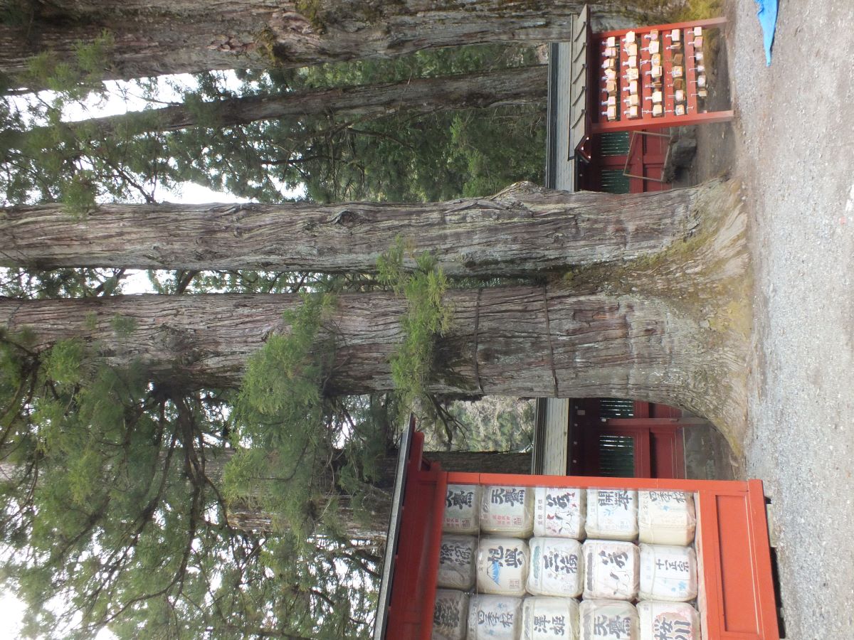jap_y-05.jpg