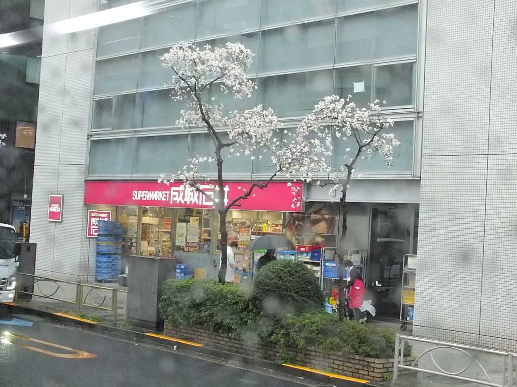 jap_g_01.jpg