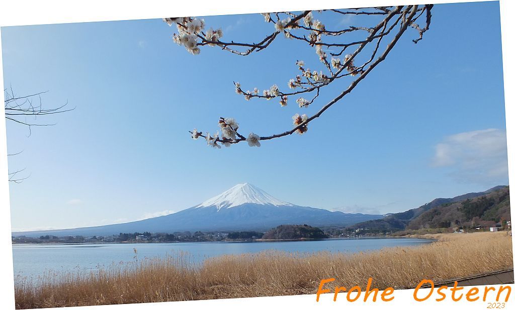 fujisan02-ostern.jpg