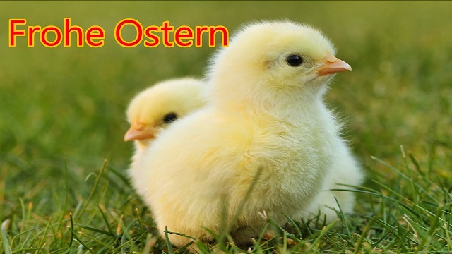 osterk__ken.jpg