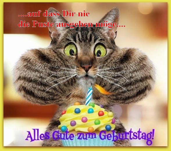 happy-birthday-katze_2.jpg