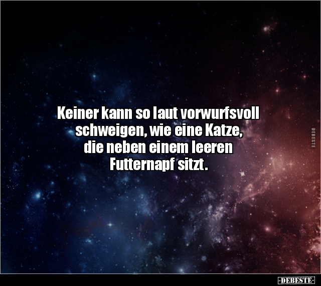 9bfdb512-a0d8-46da-b865-8d83551dffd6.jpeg