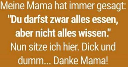 dick_und_dumm.jpg