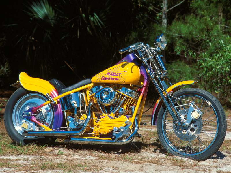 custom_panhead_florida.jpg