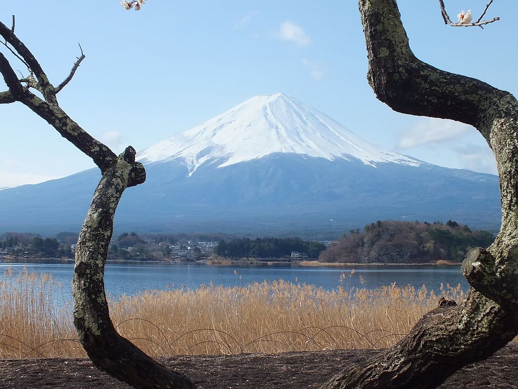 fujisan_klein.jpg