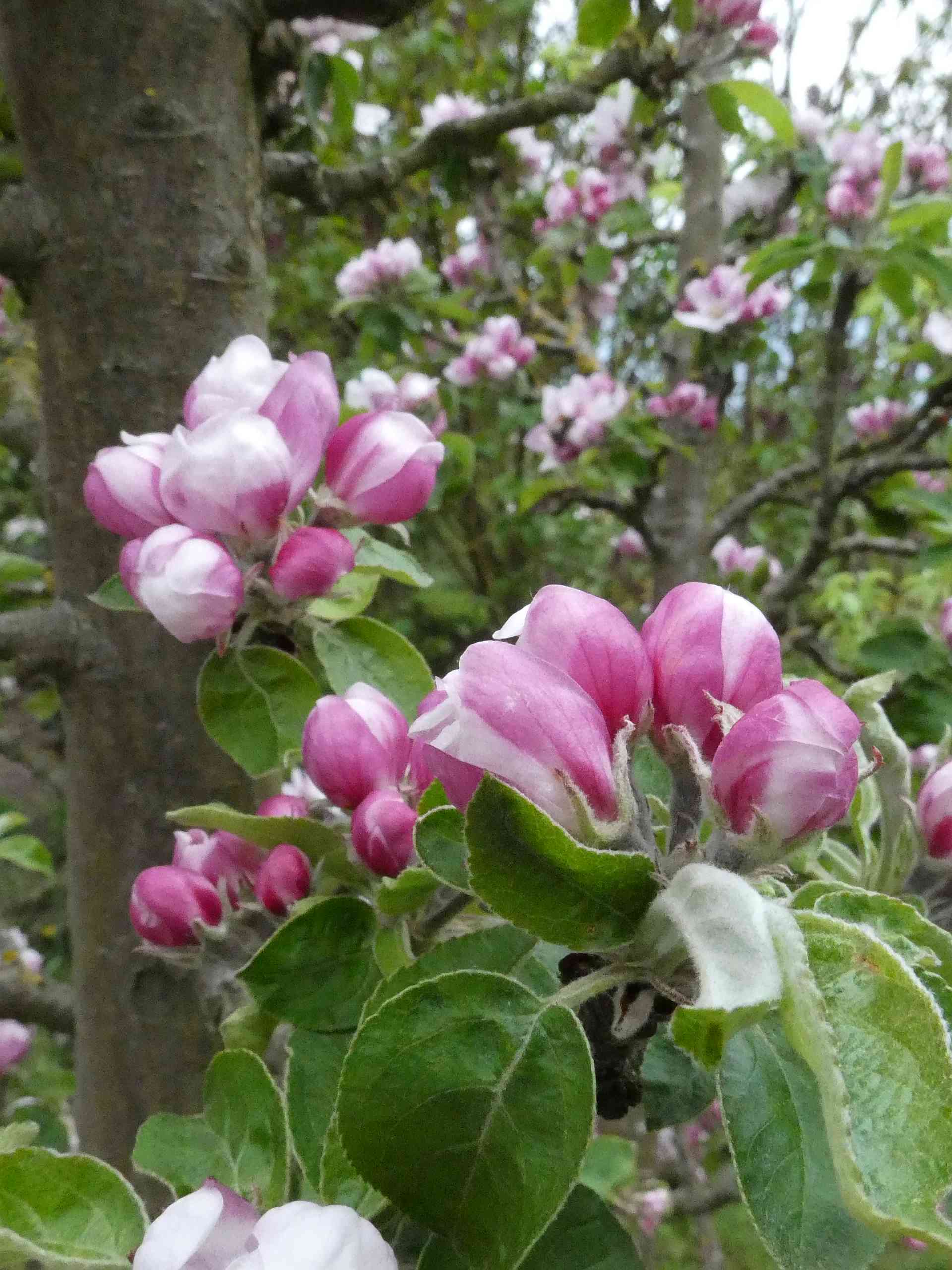 p1000276.jpg