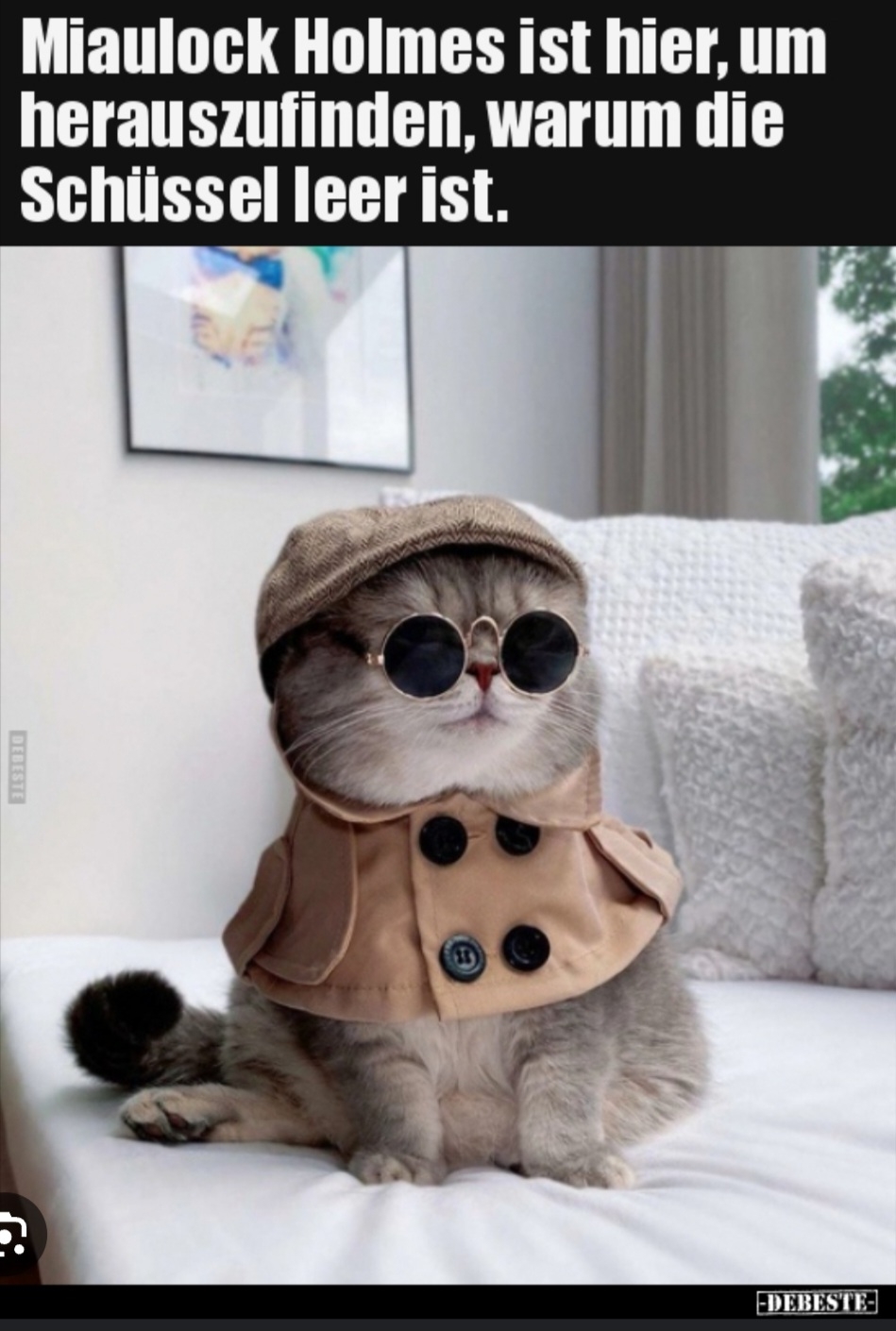 attachment-31811361.jpeg