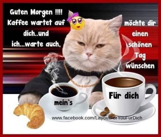 moin.jpg