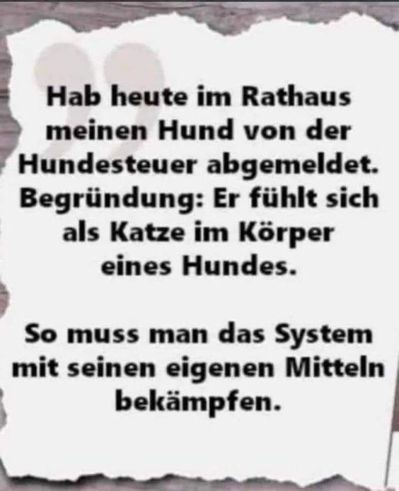 hund-katze.jpg