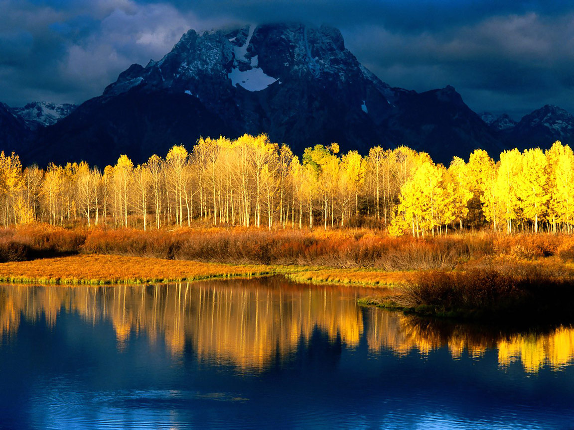 quaking_aspen_2c_mount_moran_2c_grand_teto....jpg