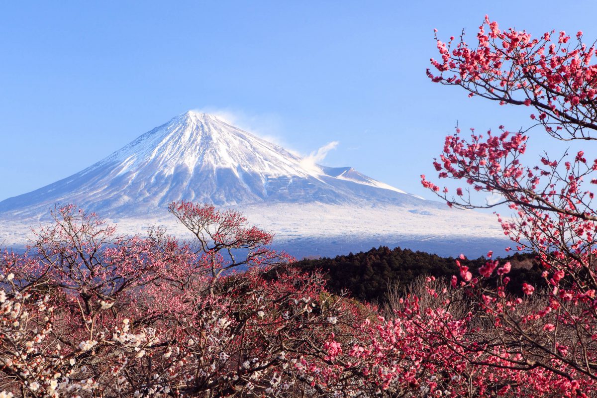 fuji2.jpg