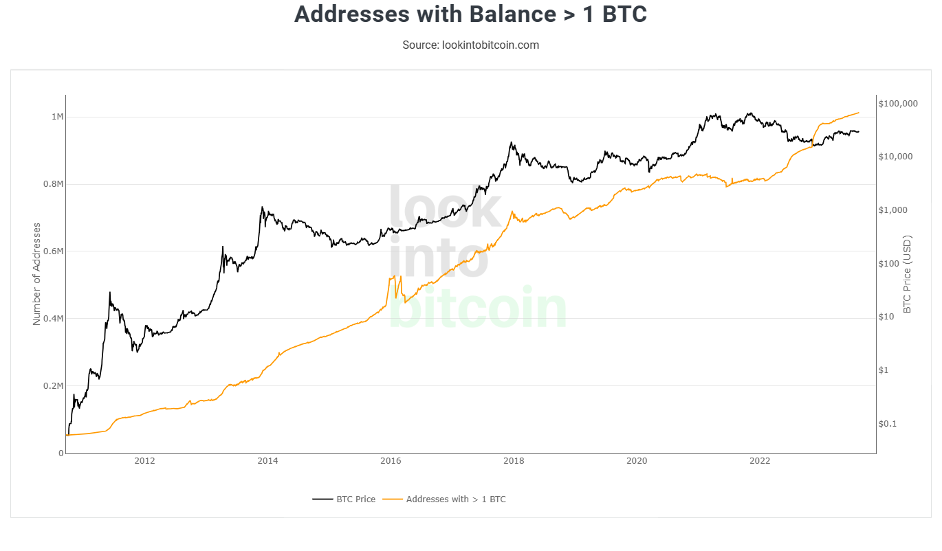 look_into_bitcoin_-....png