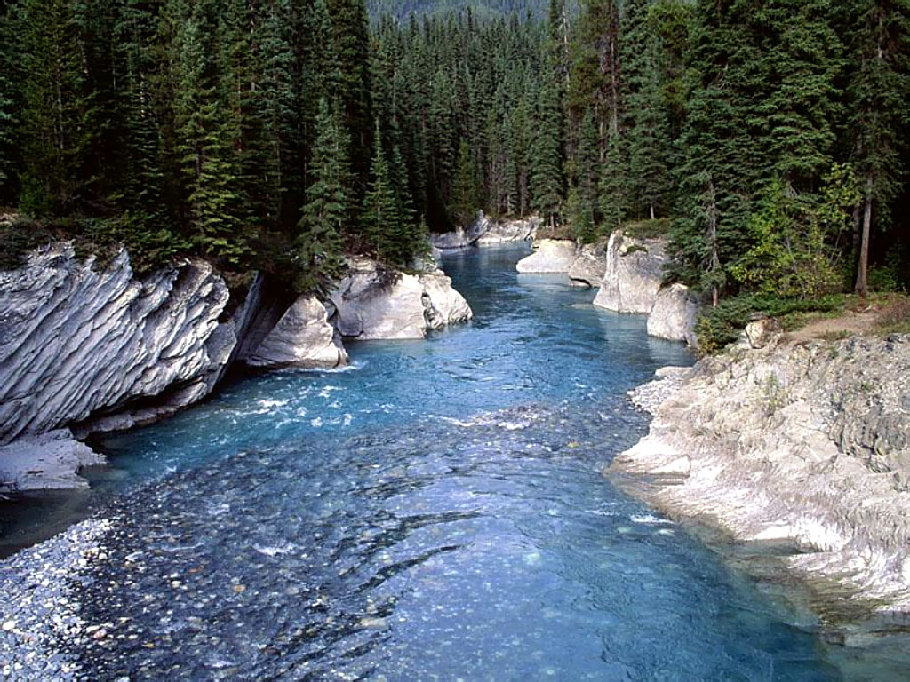 vermillion_river_2c_kootenay_national_park_2c_....jpg