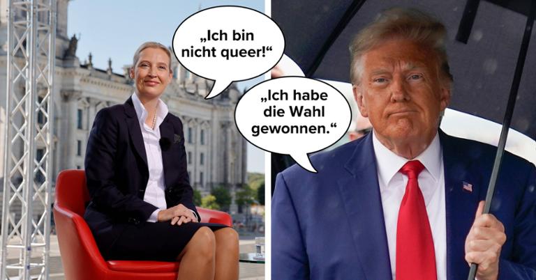 32671839-alice-weidel-im-ard-sommerinterview-....jpg