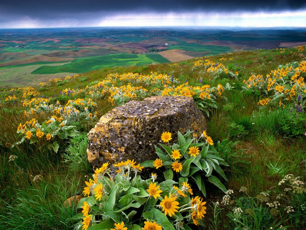 palouse_country_farm_9061_1024_768.jpg