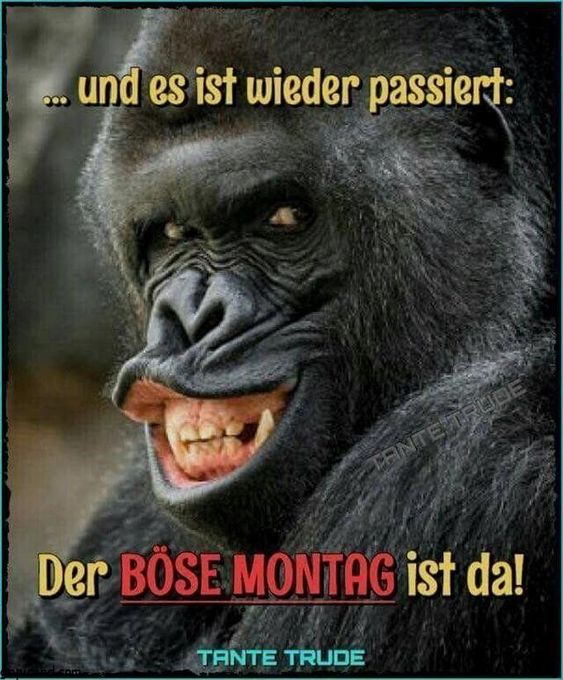 b__ser_montag.jpg